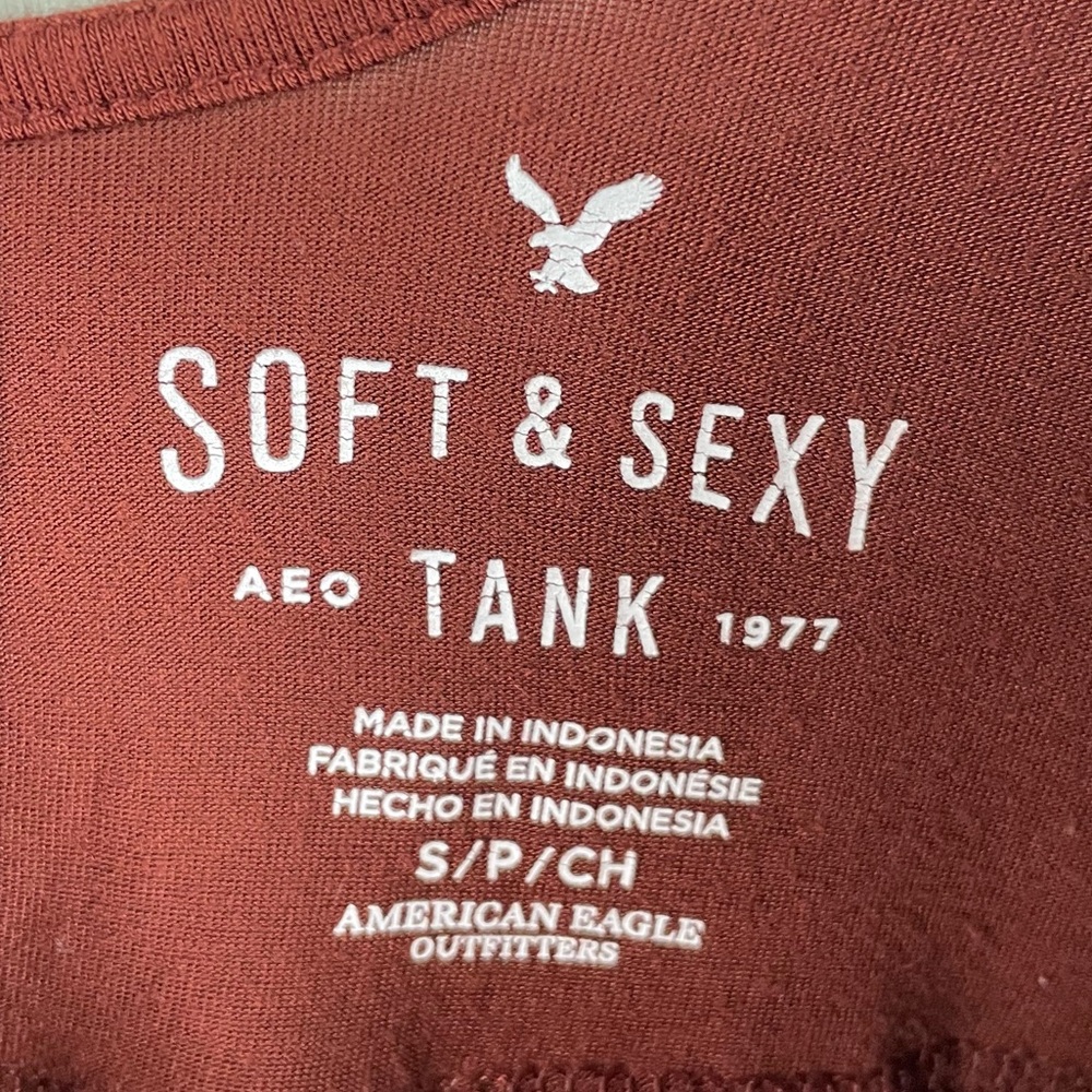 American Eagle Brown Lace Trapeze Swing Tank Top Size Small Bohemian Boho Y2K - Picture 3 of 6